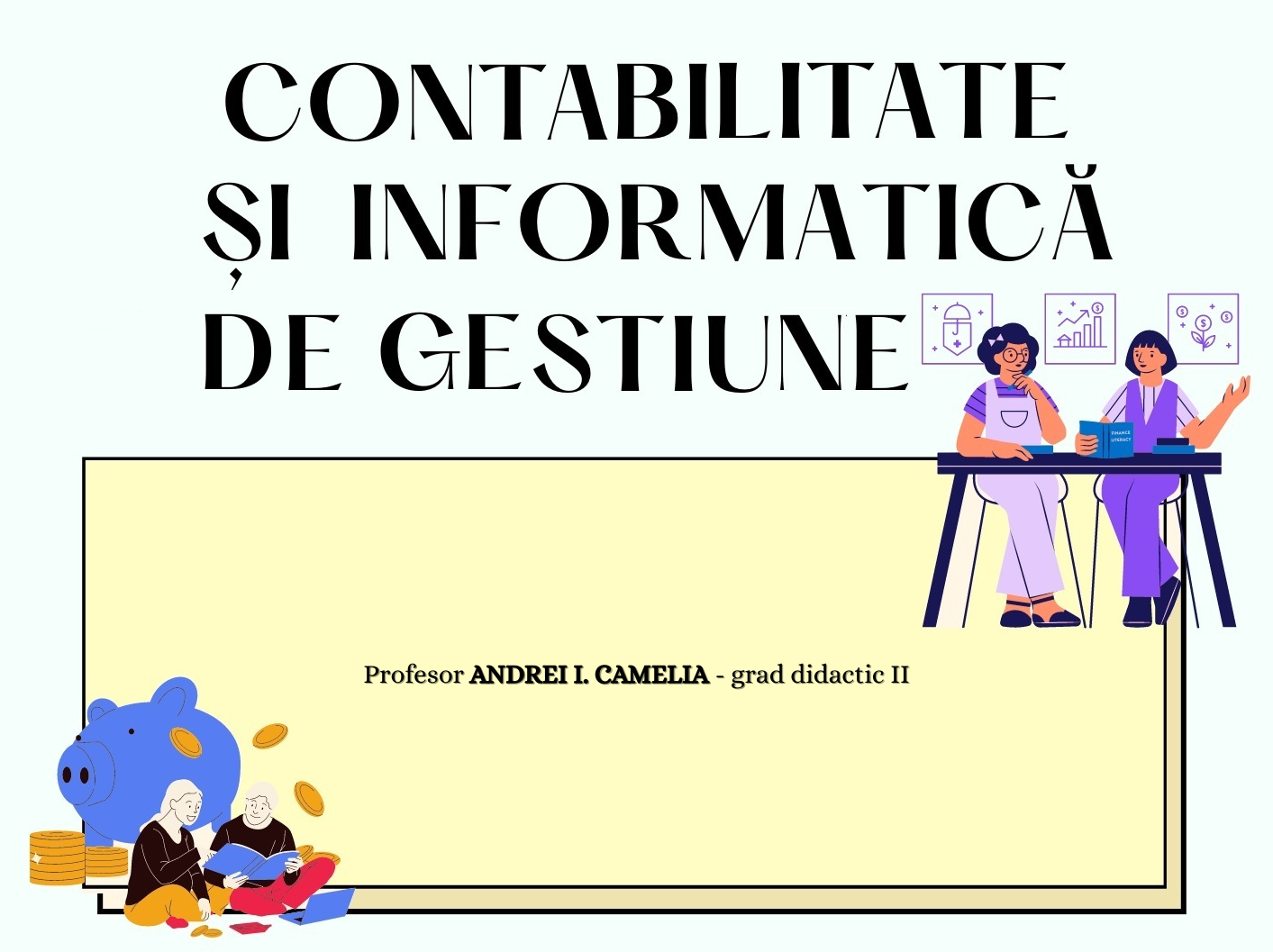 Contabilitate și informatică de gestiune